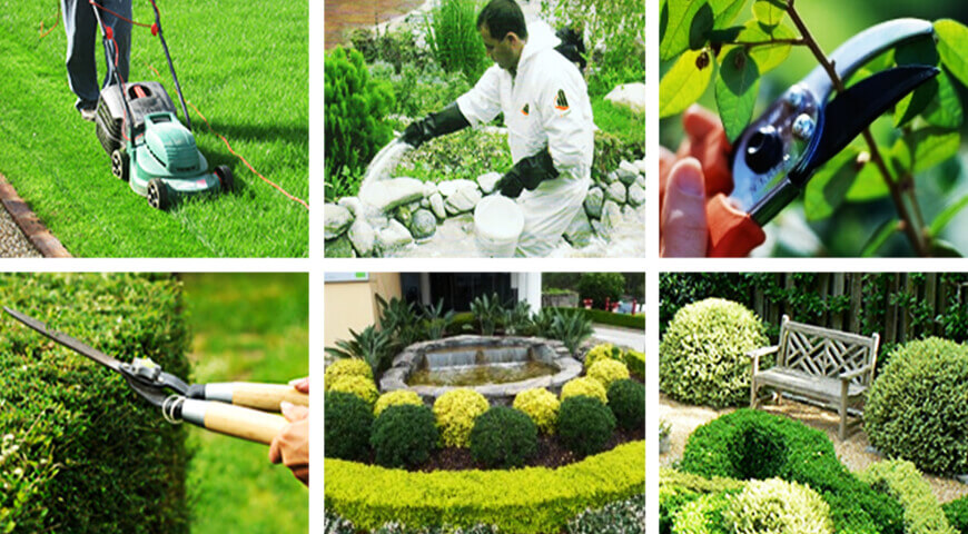 Bahçe & Peyzaj Bakımı