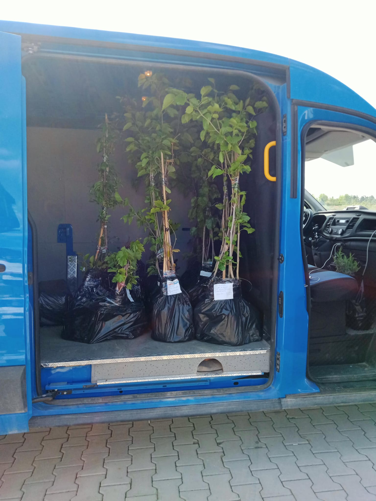 Kusursuz Teslimat Ağı