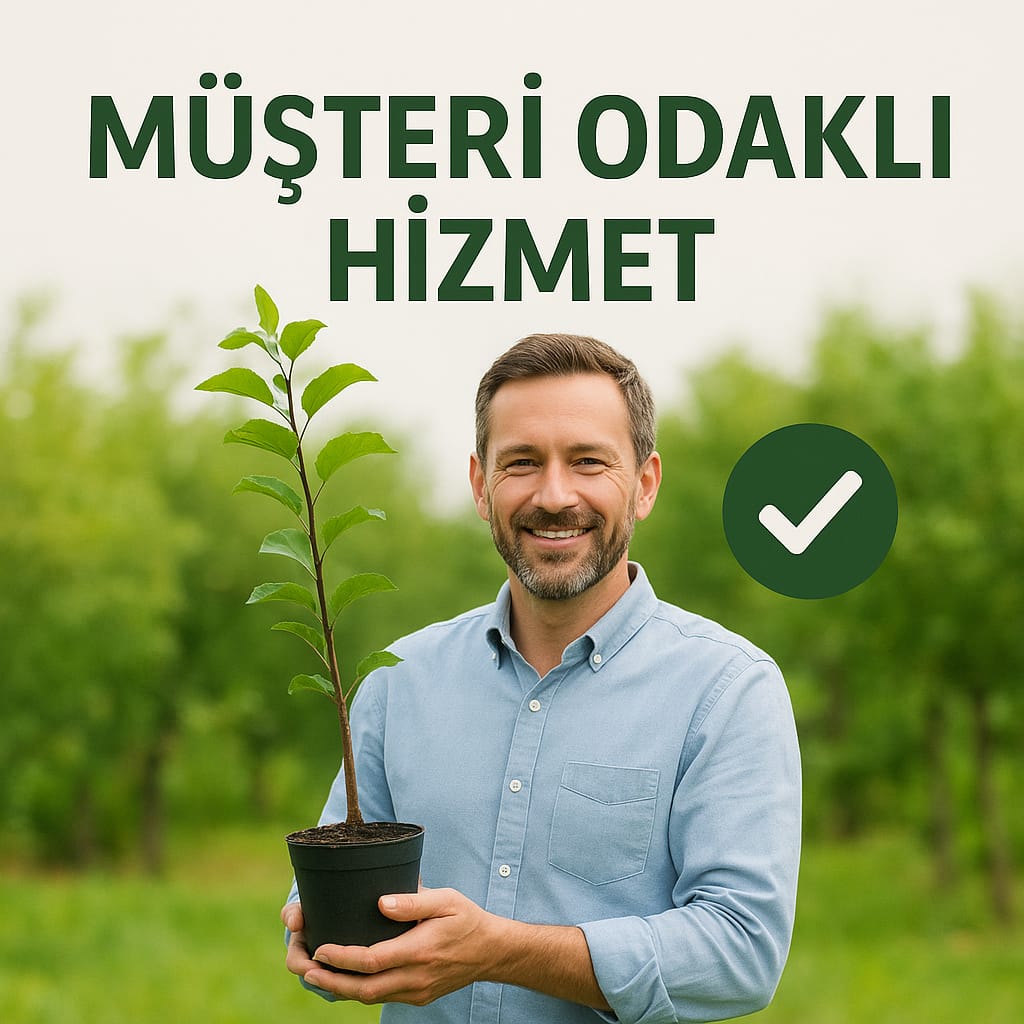Müşteri Odaklı Hizmet